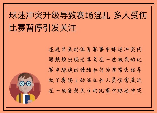 球迷冲突升级导致赛场混乱 多人受伤比赛暂停引发关注