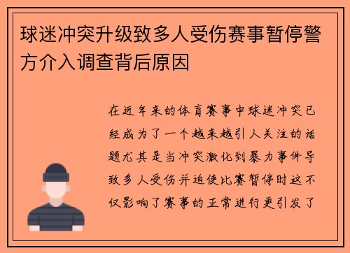 球迷冲突升级致多人受伤赛事暂停警方介入调查背后原因